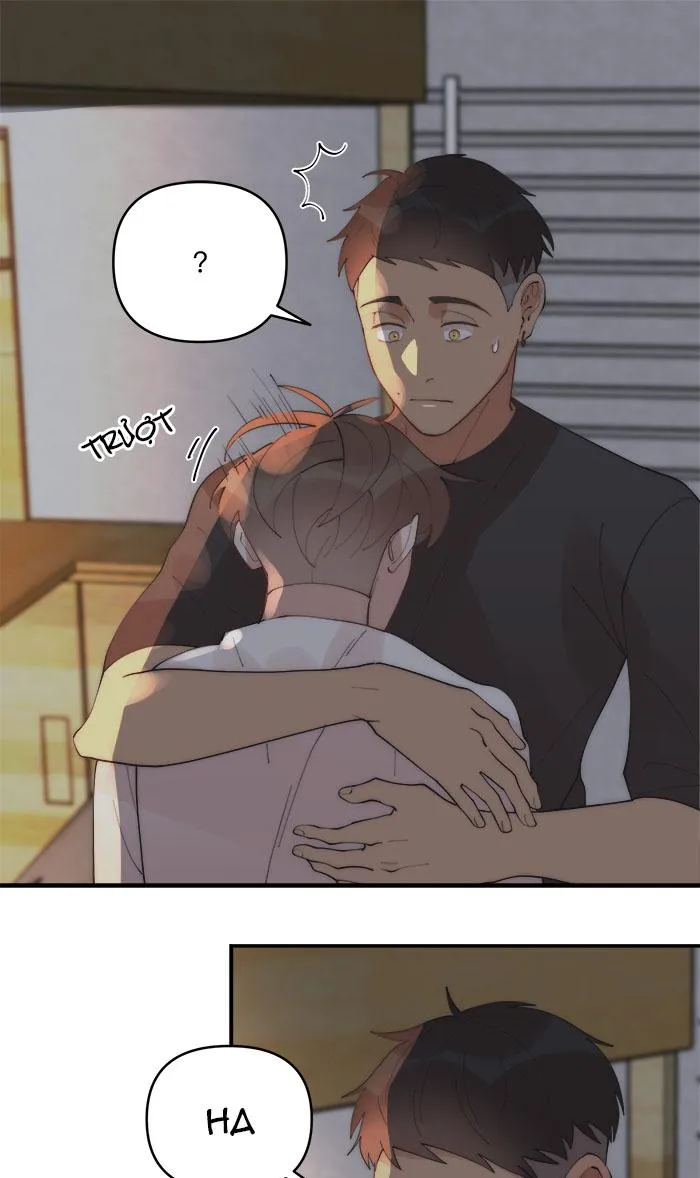 (END) Đàn Anh Sói Ca Cùng Phòng Của Tôi Chapter 37 Trang 11