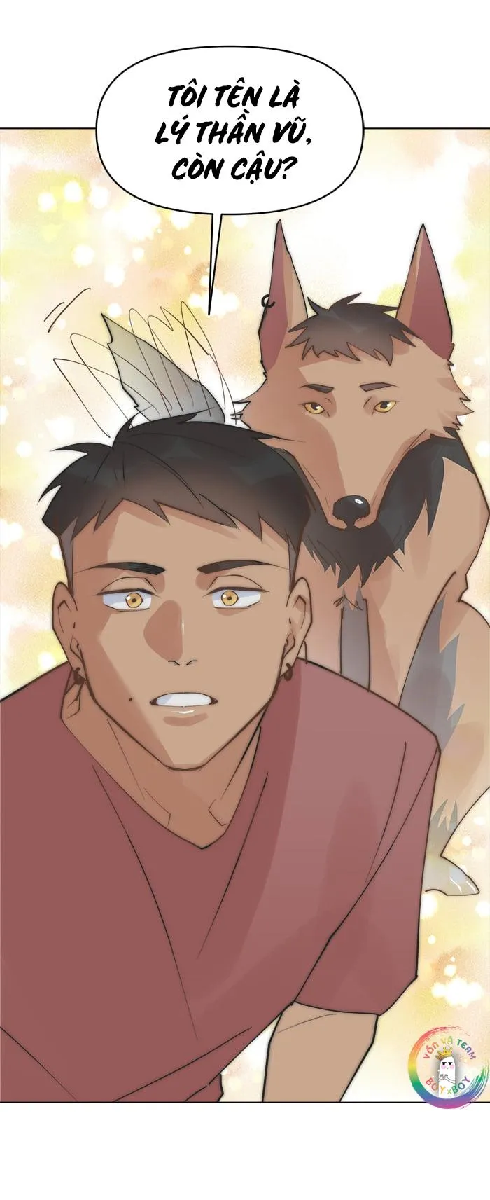 (END) Đàn Anh Sói Ca Cùng Phòng Của Tôi Chapter 43 Trang 27