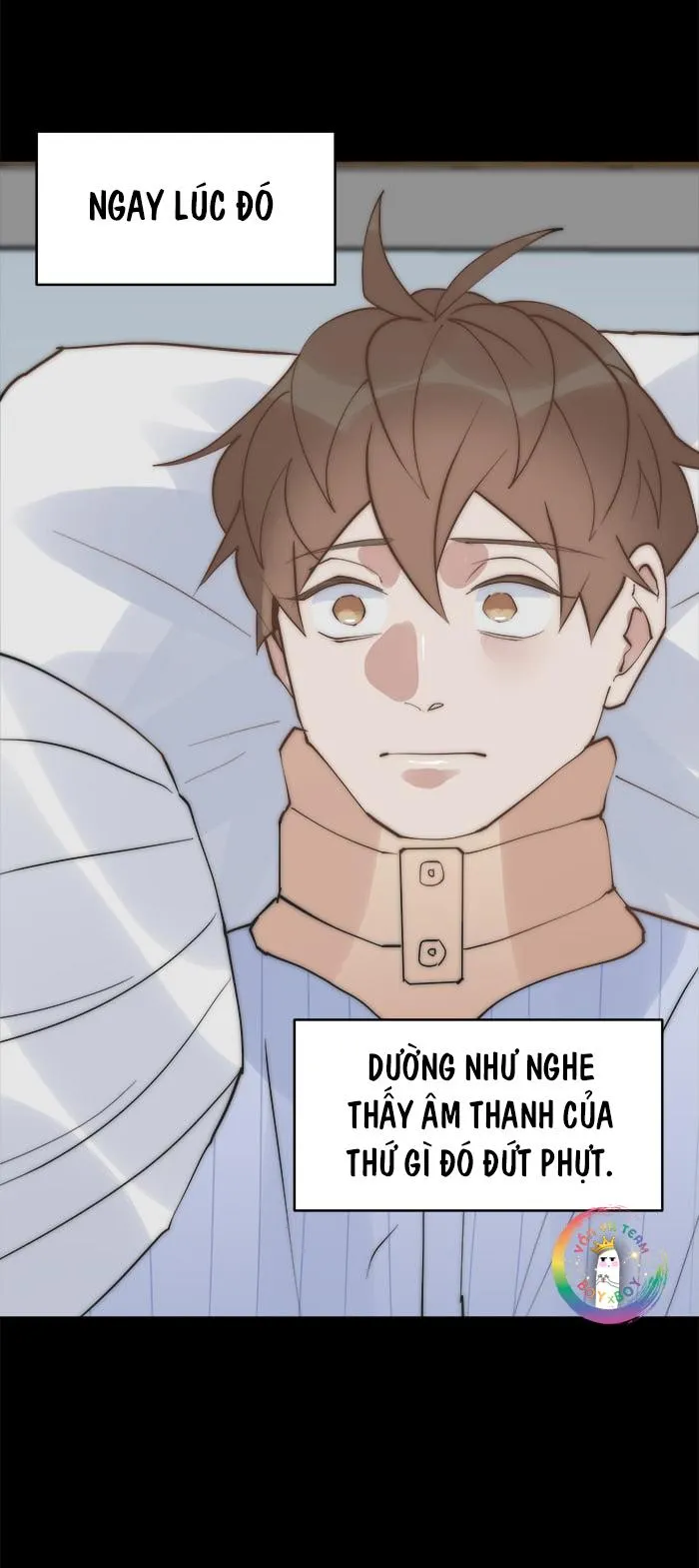 (END) Đàn Anh Sói Ca Cùng Phòng Của Tôi Chapter 44 Trang 33