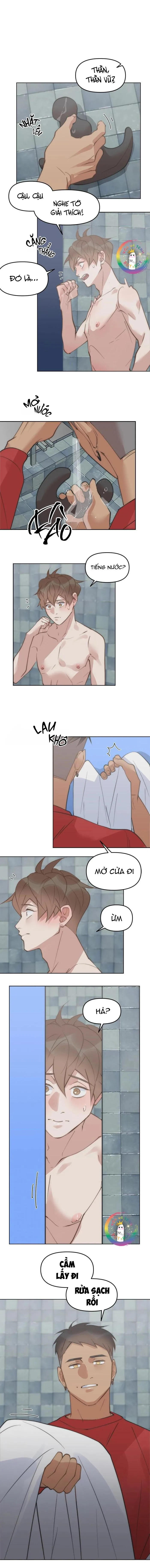 (END) Đàn Anh Sói Ca Cùng Phòng Của Tôi Chapter 50 Trang 5