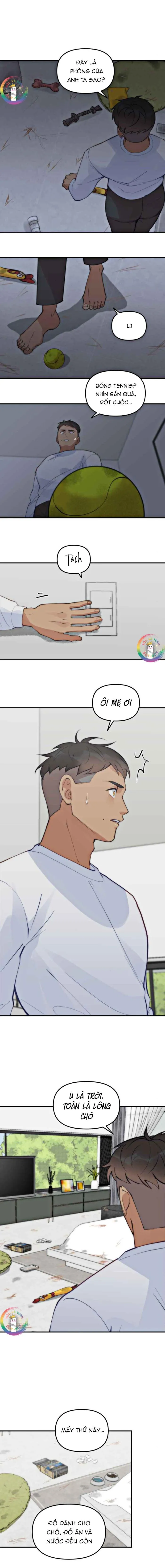 (END) Đàn Anh Sói Ca Cùng Phòng Của Tôi Chapter 62 Trang 5