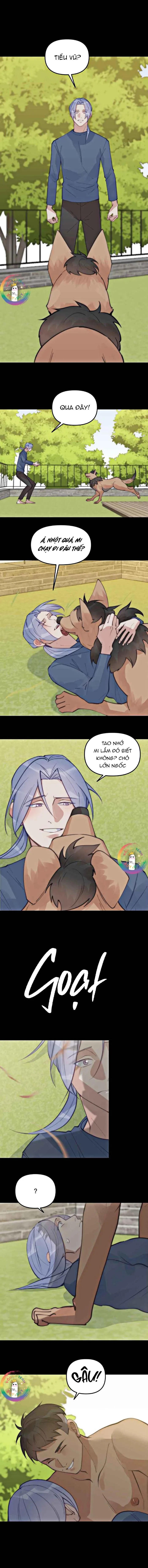 (END) Đàn Anh Sói Ca Cùng Phòng Của Tôi Chapter 62 Trang 8