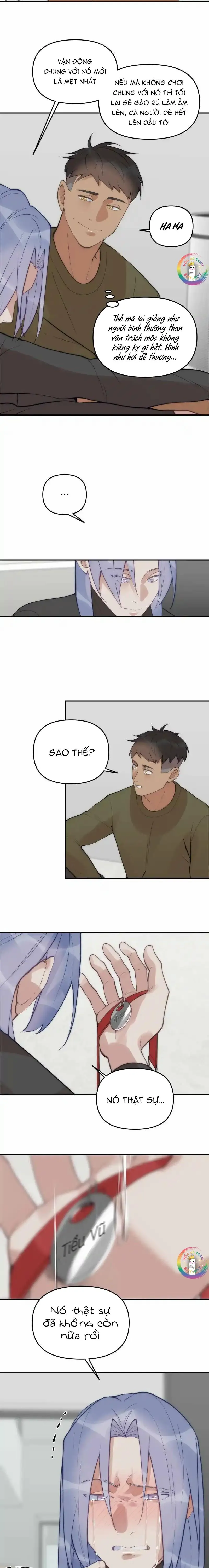 (END) Đàn Anh Sói Ca Cùng Phòng Của Tôi Chapter 63 Trang 12