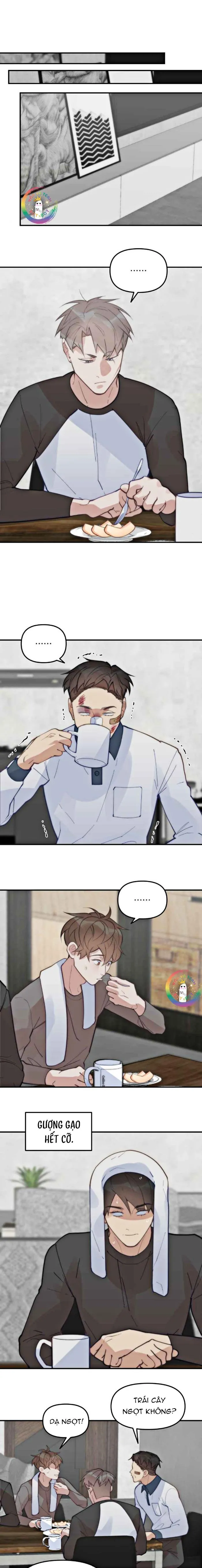 (END) Đàn Anh Sói Ca Cùng Phòng Của Tôi Chapter 65 Trang 12