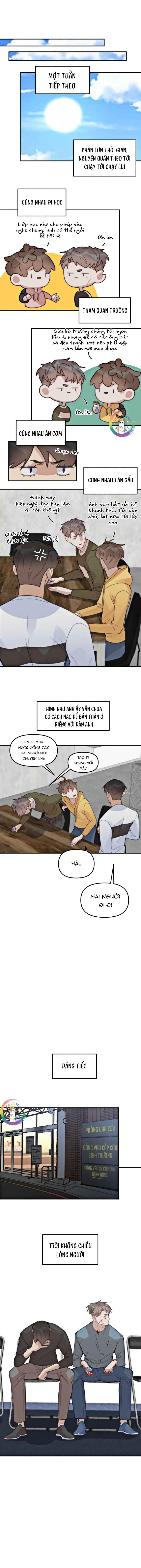 (END) Đàn Anh Sói Ca Cùng Phòng Của Tôi Chapter 66 Trang 19