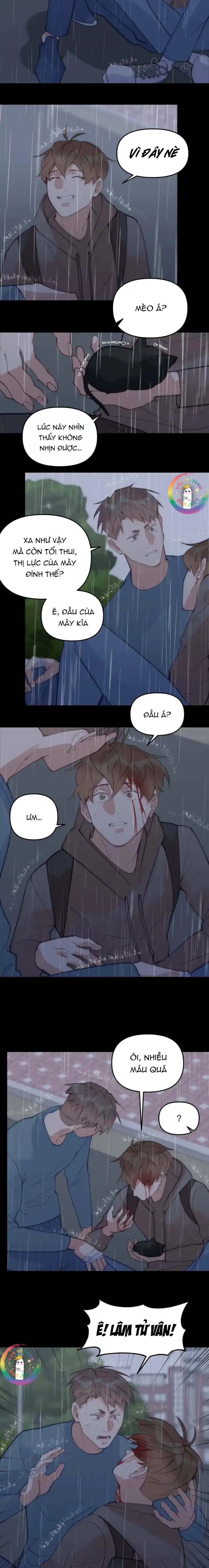 (END) Đàn Anh Sói Ca Cùng Phòng Của Tôi Chapter 67 Trang 6