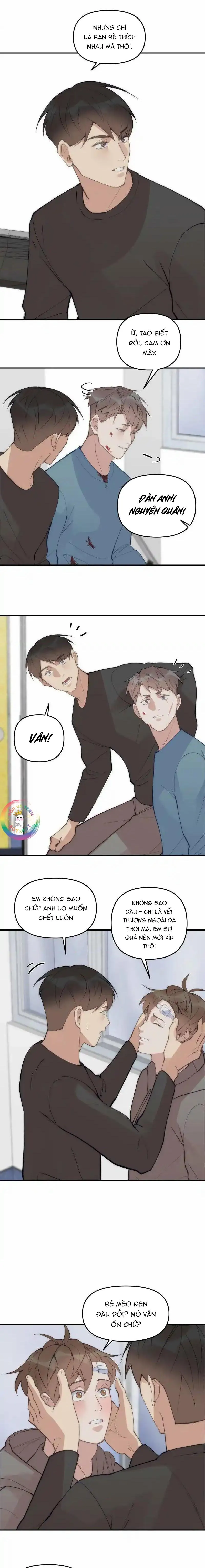 (END) Đàn Anh Sói Ca Cùng Phòng Của Tôi Chapter 67 Trang 10