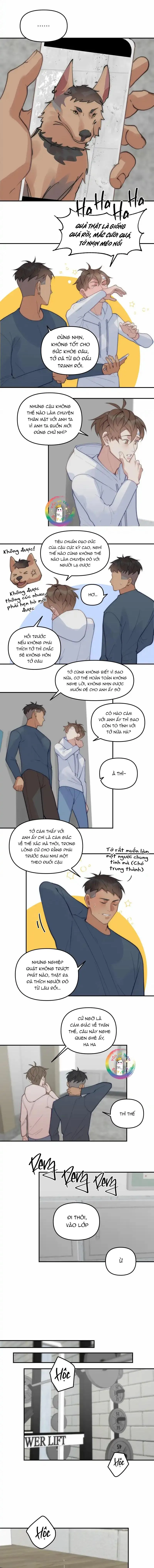 (END) Đàn Anh Sói Ca Cùng Phòng Của Tôi Chapter 68 Trang 8