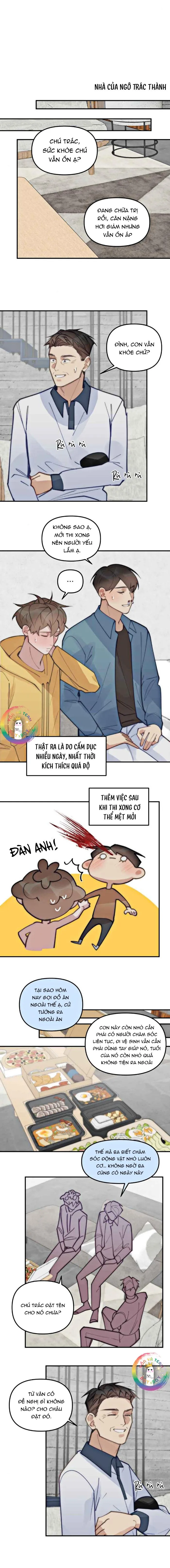 (END) Đàn Anh Sói Ca Cùng Phòng Của Tôi Chapter 75 Trang 15