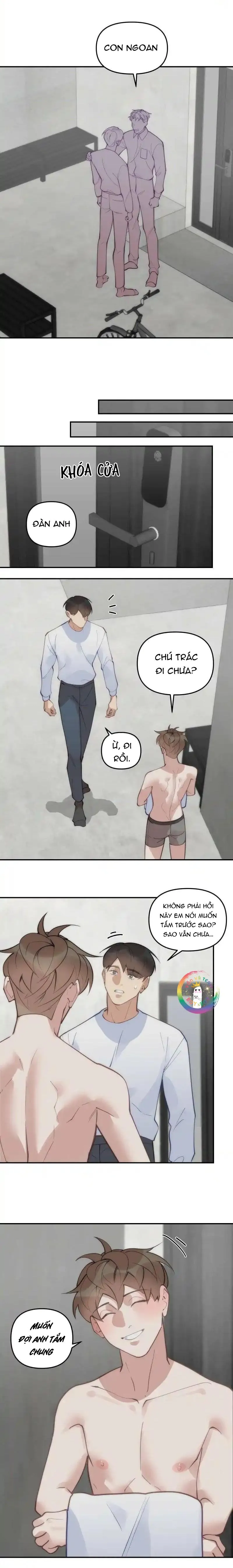 (END) Đàn Anh Sói Ca Cùng Phòng Của Tôi Chapter 80 Trang 7