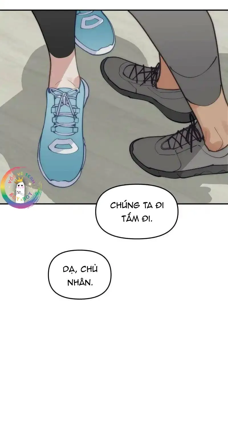 (END) Đàn Anh Sói Ca Cùng Phòng Của Tôi Chapter 80 Trang 19