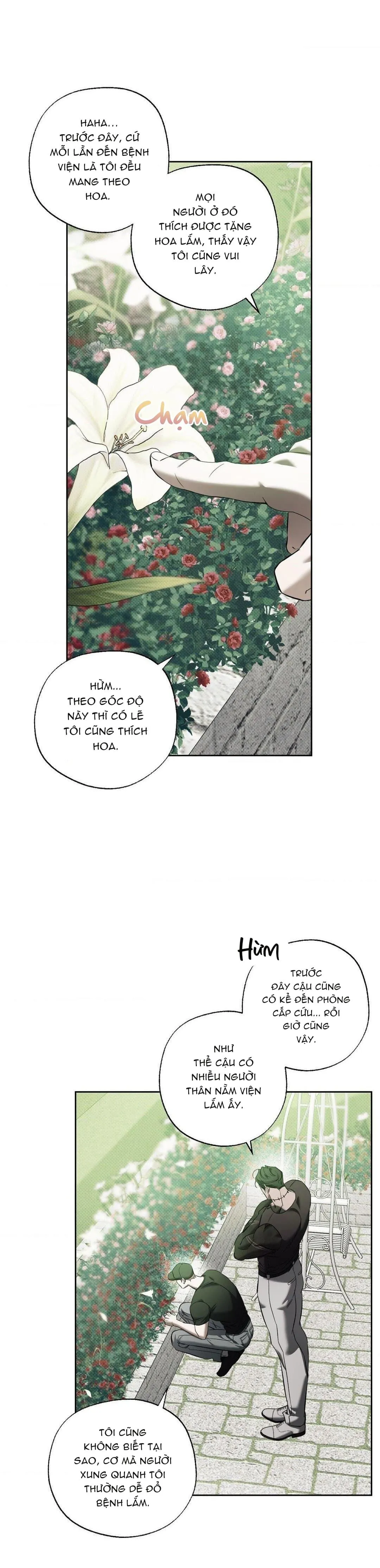 ĐÀN CHÓ SĂN CỦA SISYPHUS Chapter 11 Trang 20