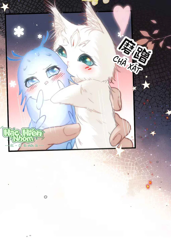 Dẫn Đạo Liệp Bắt Chapter 8 Trang 8