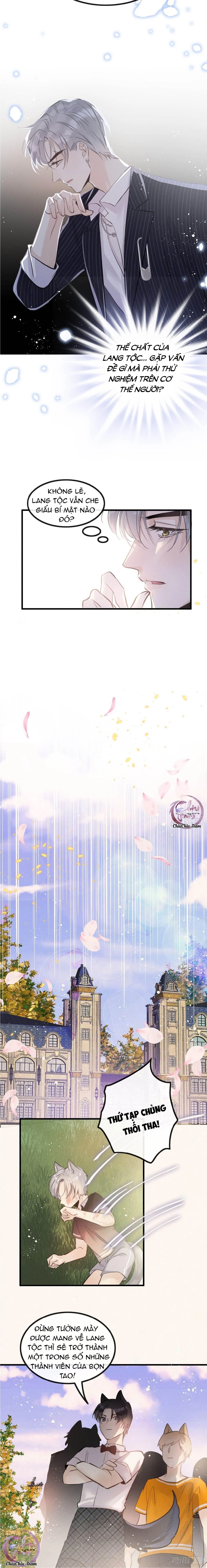 Dâng Lên Miệng Sói Chapter 16 Trang 6