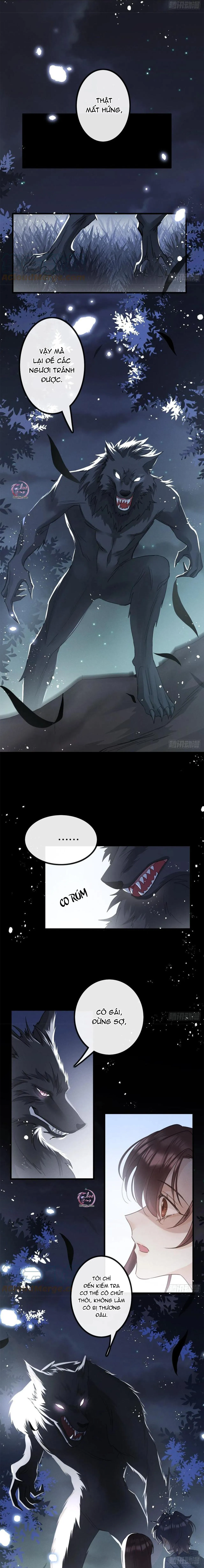 Dâng Lên Miệng Sói Chapter 27 Trang 7
