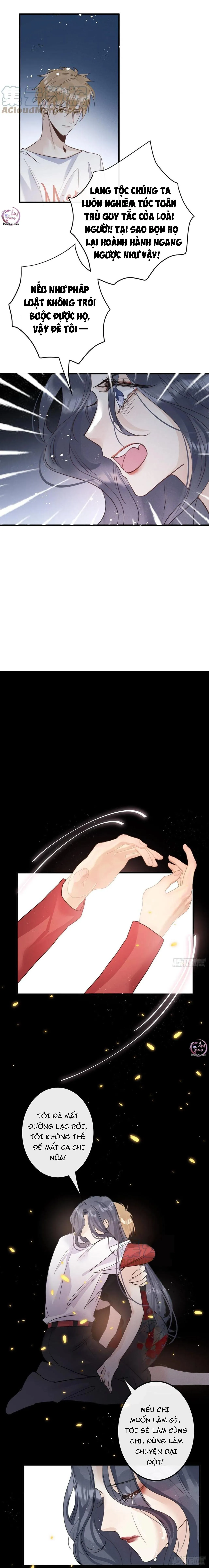 Dâng Lên Miệng Sói Chapter 31 Trang 7