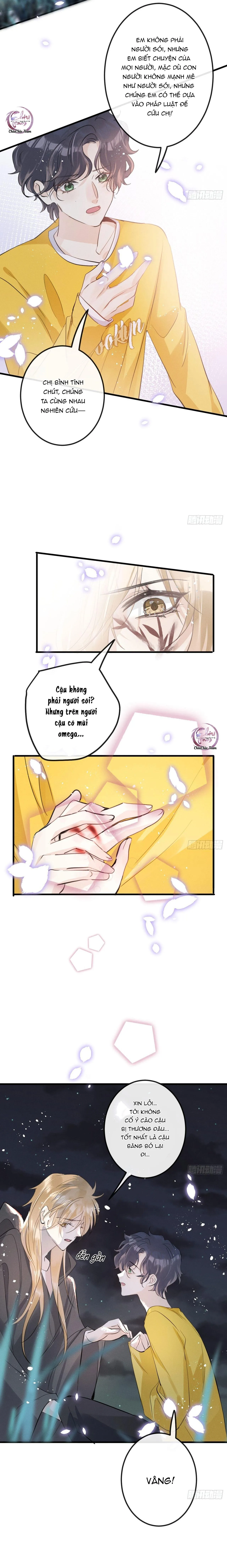 Dâng Lên Miệng Sói Chapter 41 Trang 7