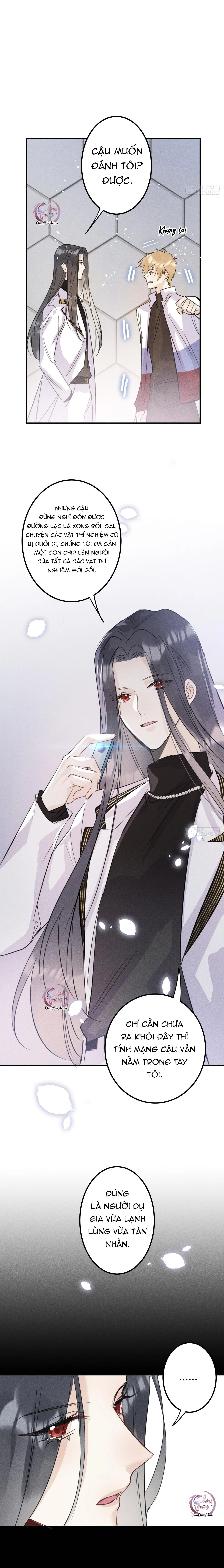 Dâng Lên Miệng Sói Chapter 51 Trang 11