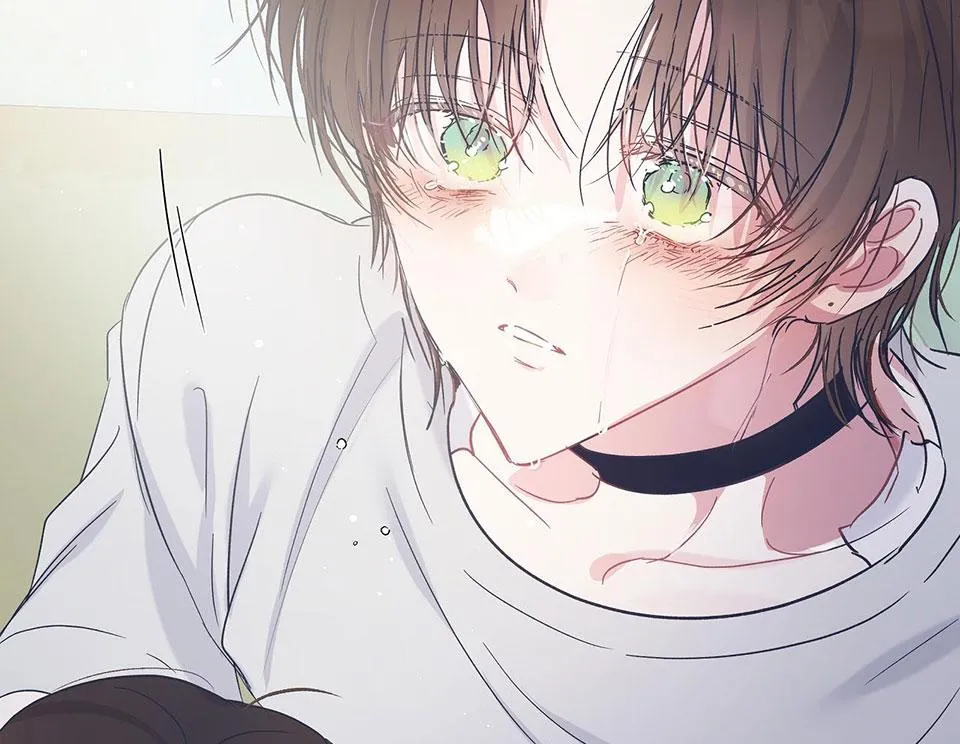 ĐẢO NGƯỢC CỦA ĐẢO NGƯỢC Chapter 27 Trang 17