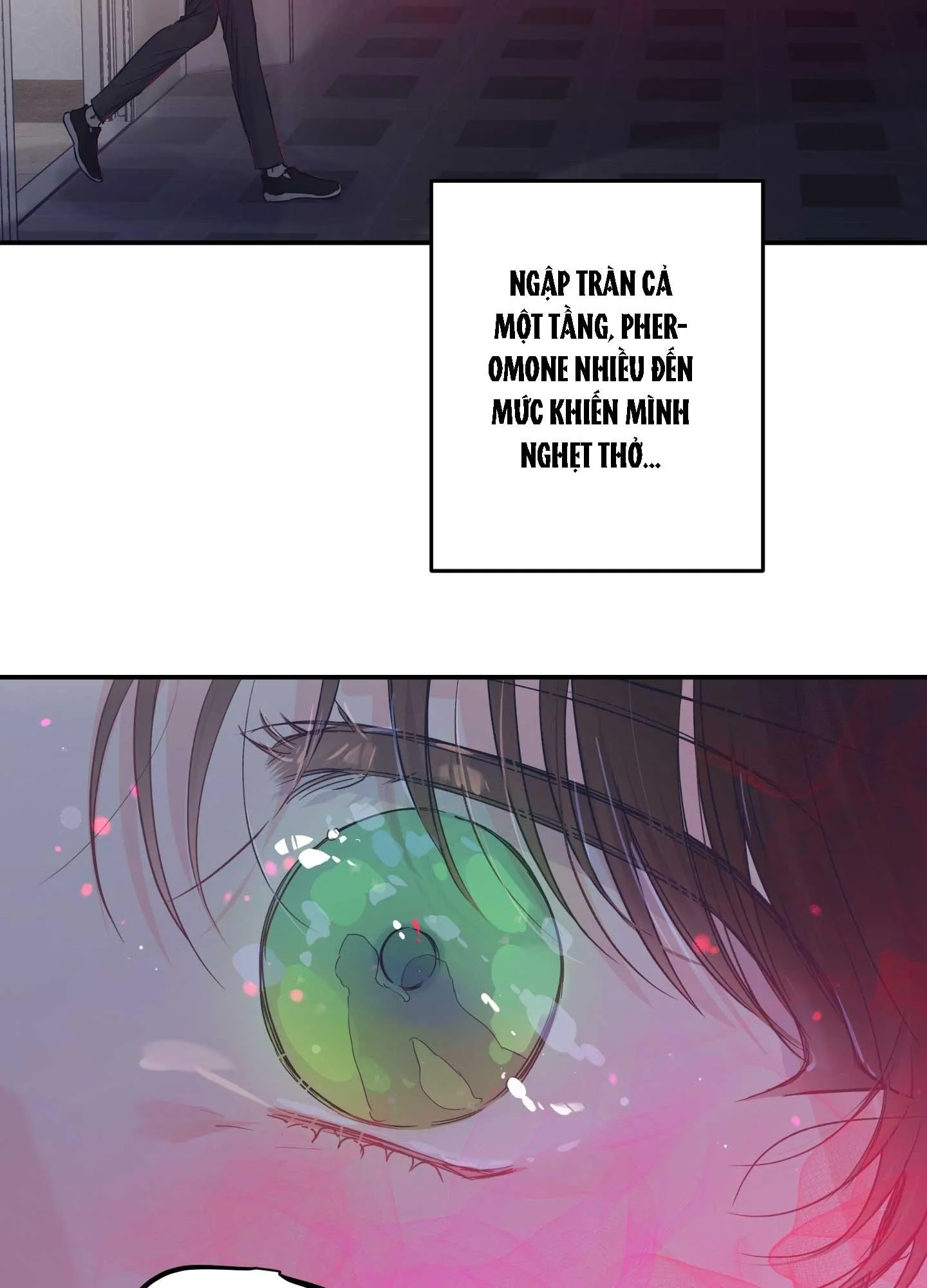 ĐẢO NGƯỢC CỦA ĐẢO NGƯỢC Chapter 61 Trang 48