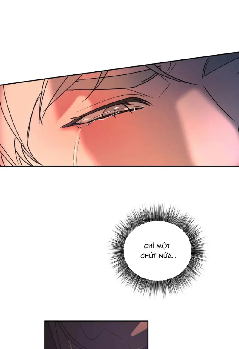 Đảo Ngược Kịch Bản Chapter 11 Trang 62