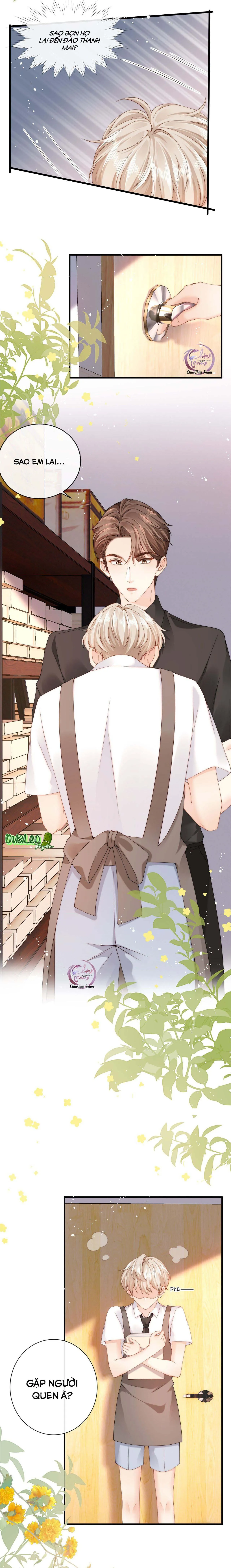 Đảo Thanh Mai Chapter 8 Trang 4