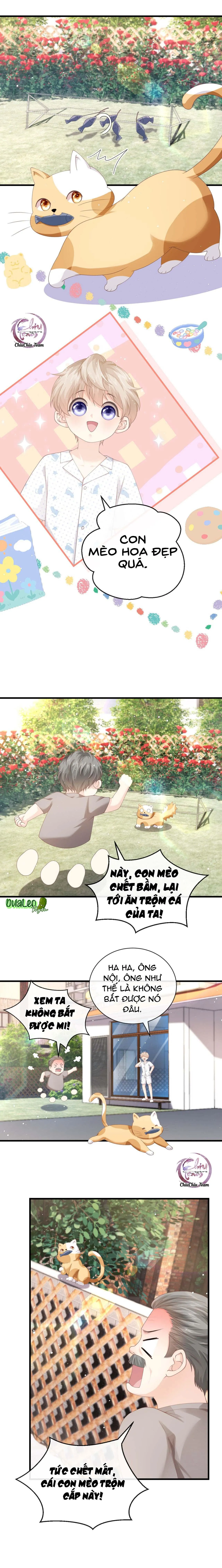 Đảo Thanh Mai Chapter 11 Trang 3