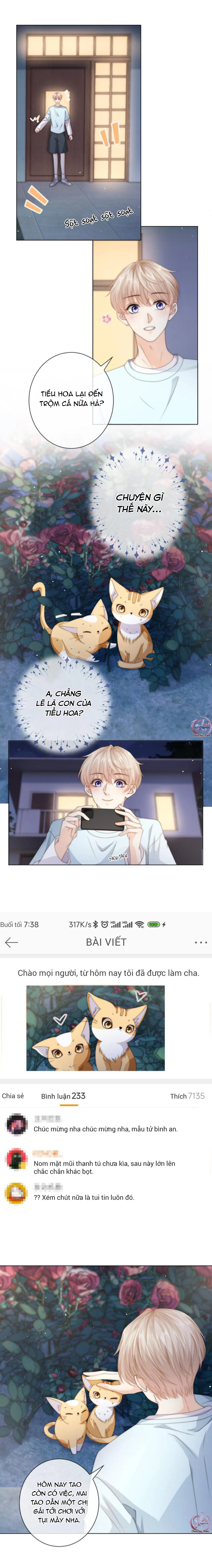 Đảo Thanh Mai Chapter 33 Trang 5