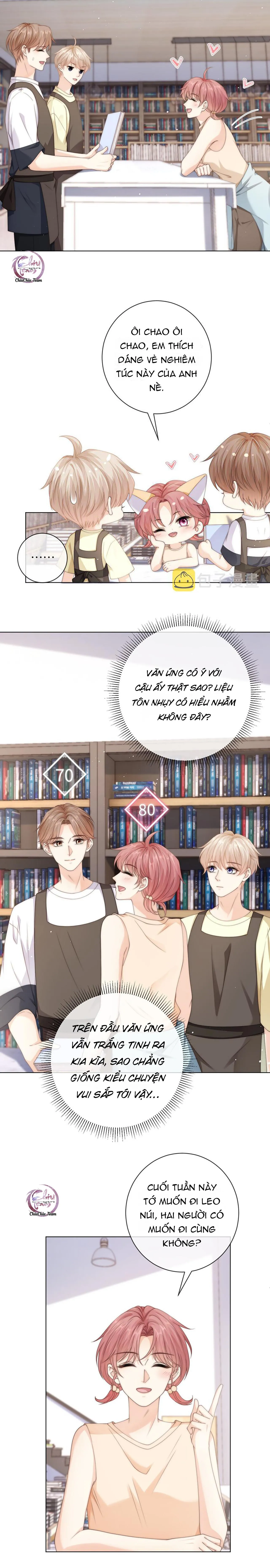 Đảo Thanh Mai Chapter 41 Trang 3