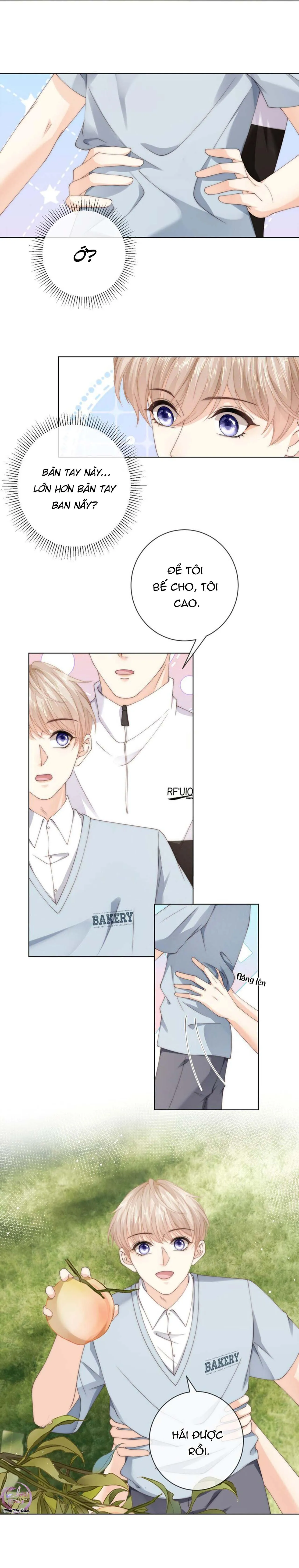 Đảo Thanh Mai Chapter 49 Trang 3