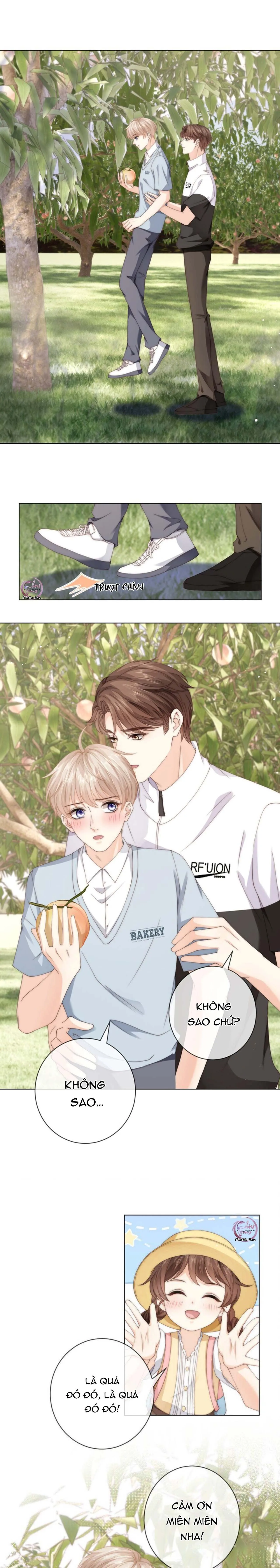 Đảo Thanh Mai Chapter 49 Trang 4