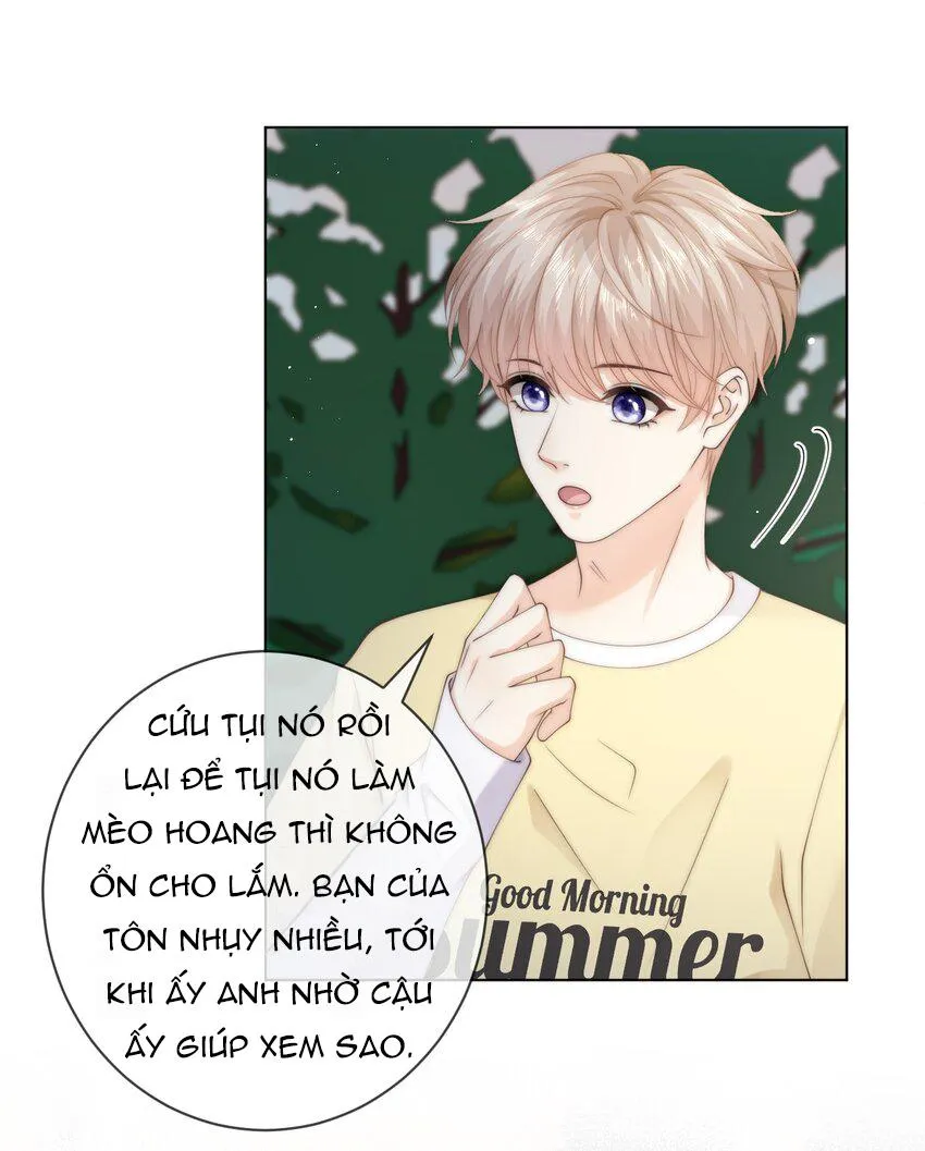 Đảo Thanh Mai Chapter 57 Trang 19