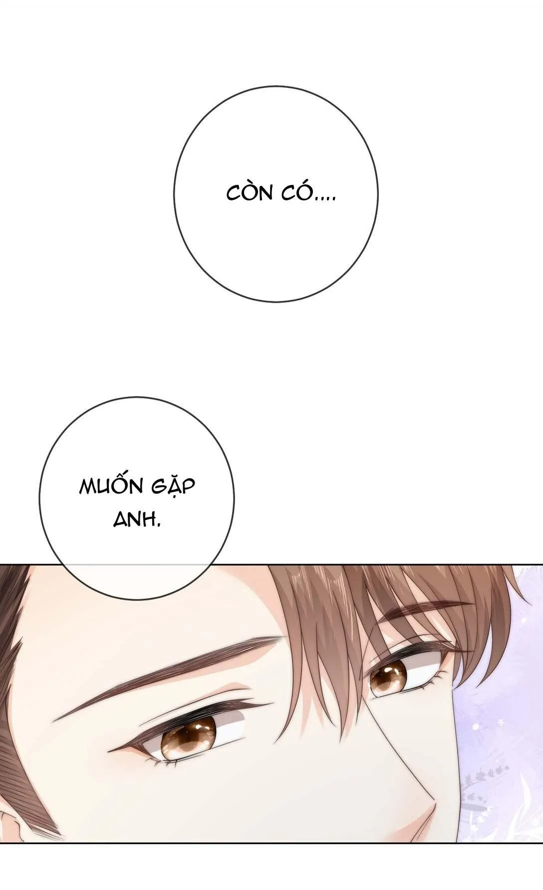 Đảo Thanh Mai Chapter 84 Trang 8