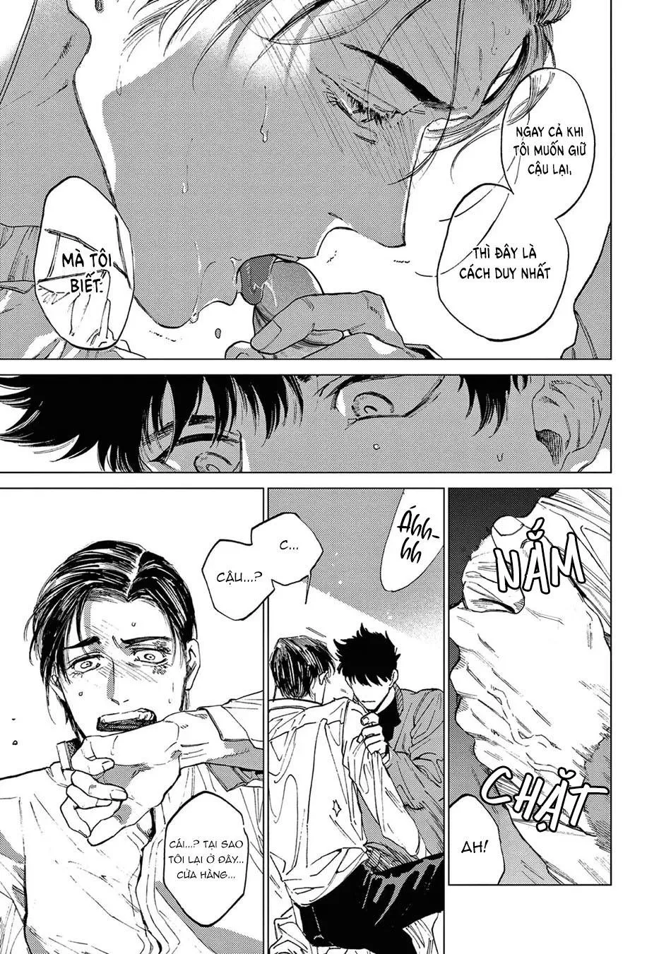 Đấu giá Hikari TOKYO Chapter 4 Trang 19