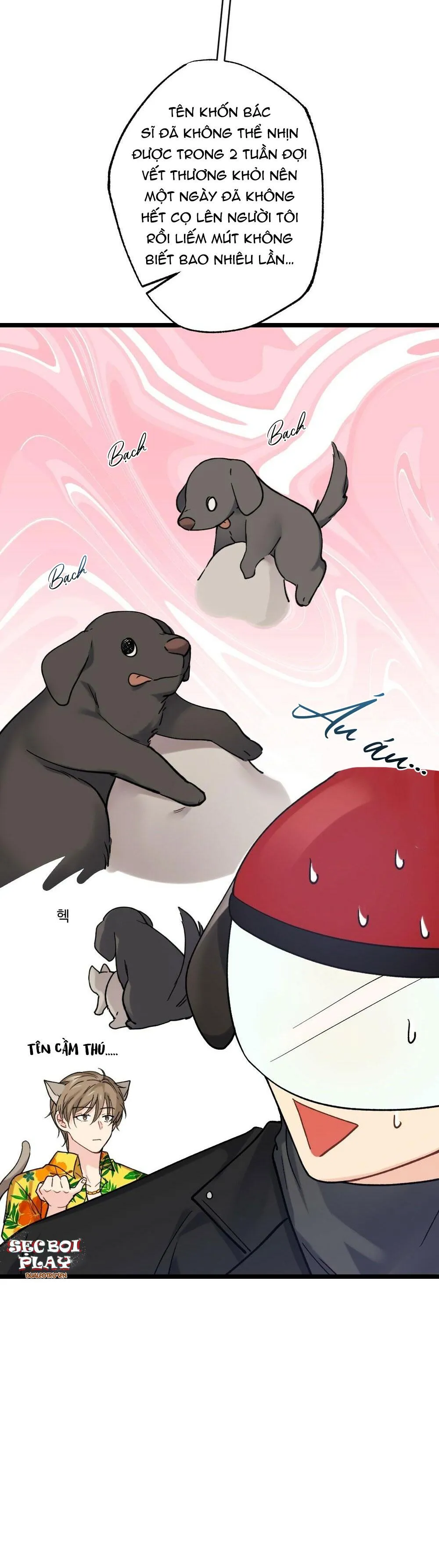 Đầu gỗ và mỹ nhân hội tam hoàng Chapter 5 Trang 12