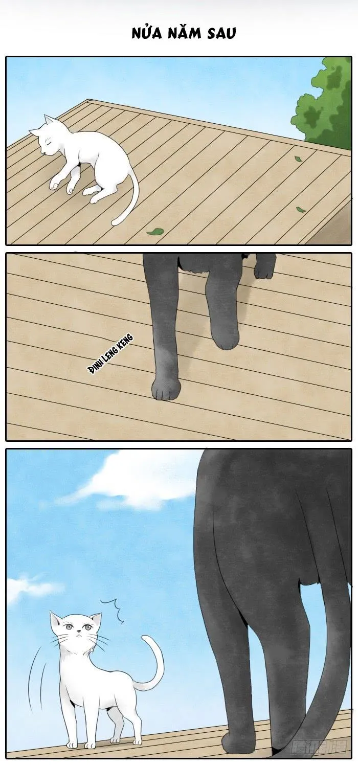 Đầu trâu không phải miệng ngựa Chapter 3 Trang 25