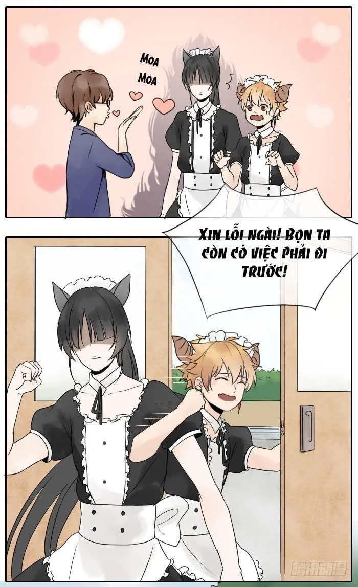 Đầu trâu không phải miệng ngựa Chapter 7 Trang 11