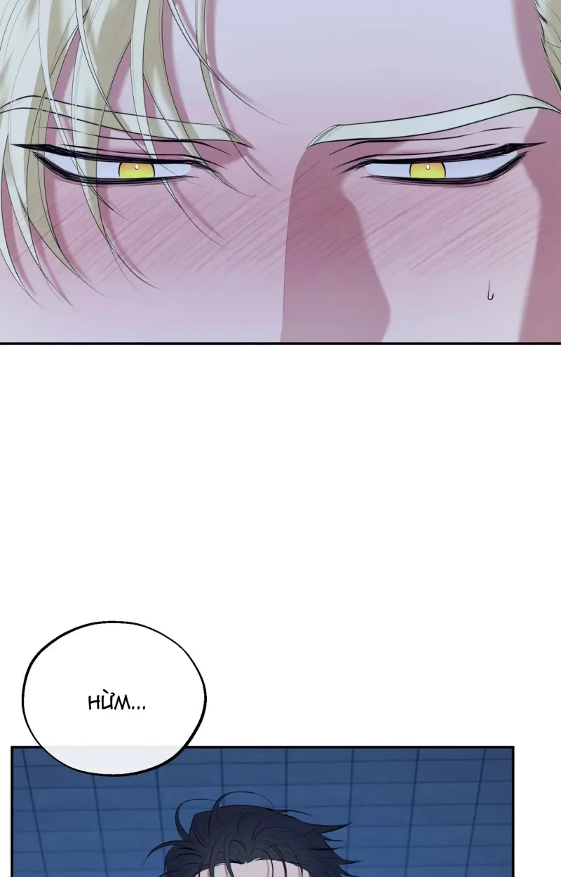 DAWNING LIGHT Chapter 11 Trang 5