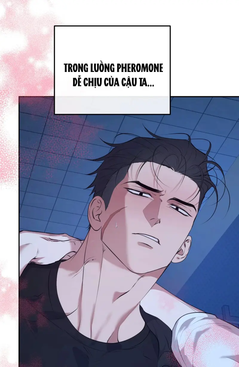 DAWNING LIGHT Chapter 11 Trang 18