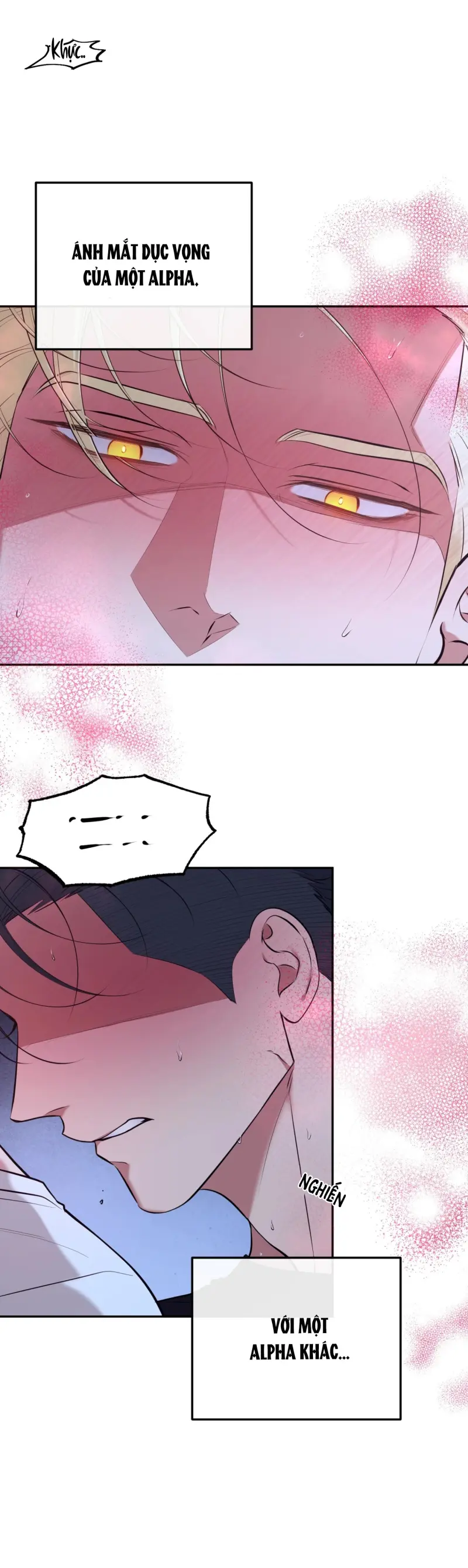 DAWNING LIGHT Chapter 12 Trang 6