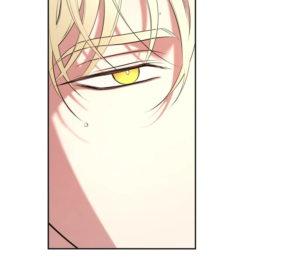 DAWNING LIGHT Chapter 18 Trang 36