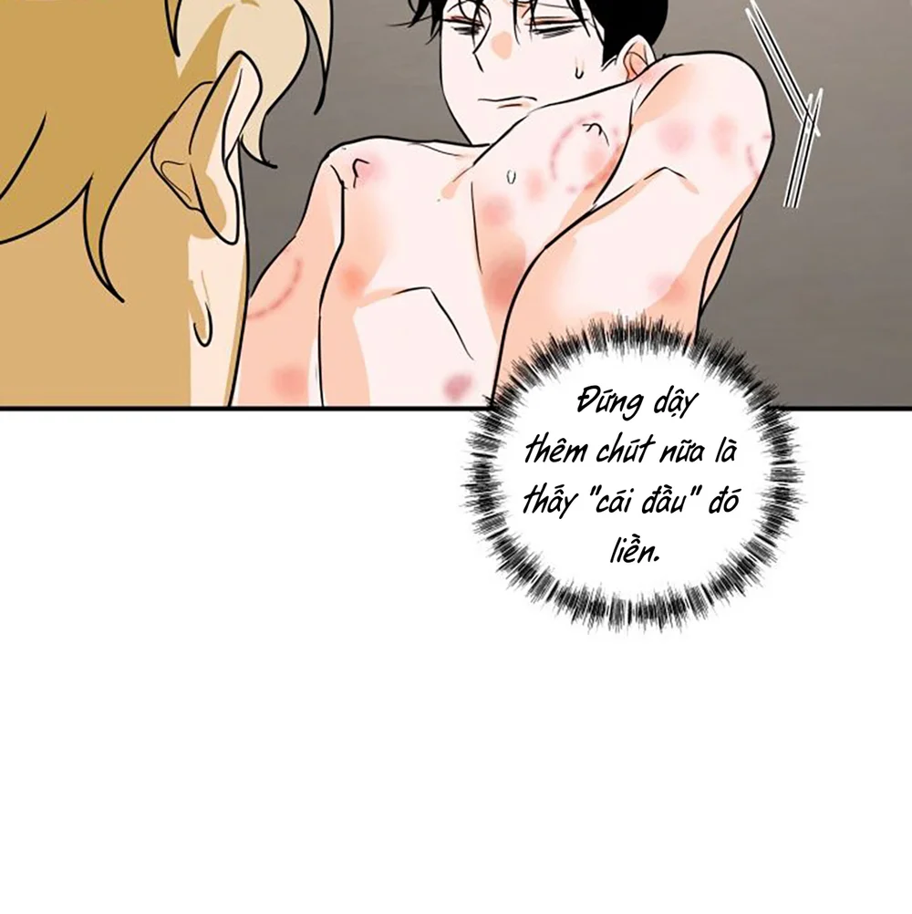 Day 8 Chapter 8 Trang 21