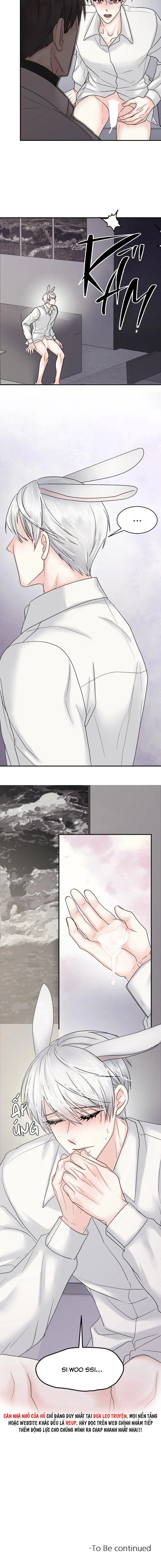 ĐÂY LÀ CHÚ THỎ MÀ BẠN (KHÔNG) ĐÃ ĐẶT HÀNG Chapter 3 Trang 8