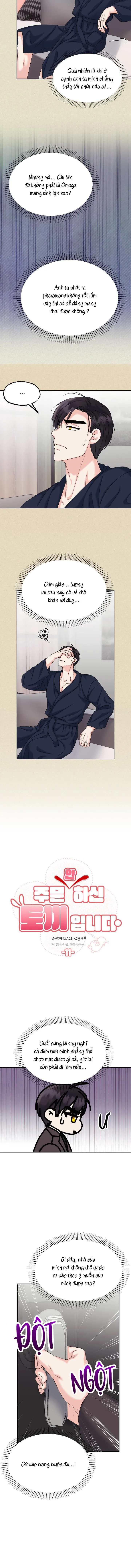 ĐÂY LÀ CHÚ THỎ MÀ BẠN (KHÔNG) ĐÃ ĐẶT HÀNG Chapter 11 Trang 3