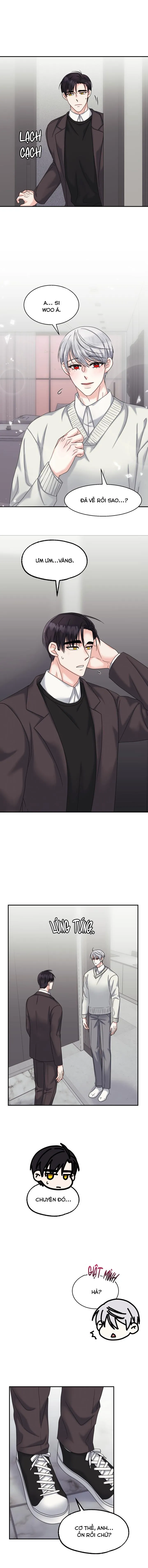 ĐÂY LÀ CHÚ THỎ MÀ BẠN (KHÔNG) ĐÃ ĐẶT HÀNG Chapter 11 Trang 4