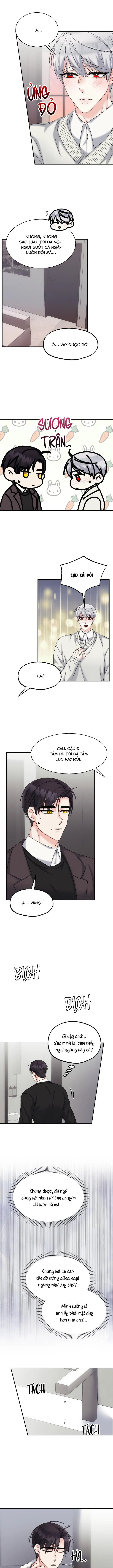 ĐÂY LÀ CHÚ THỎ MÀ BẠN (KHÔNG) ĐÃ ĐẶT HÀNG Chapter 11 Trang 5