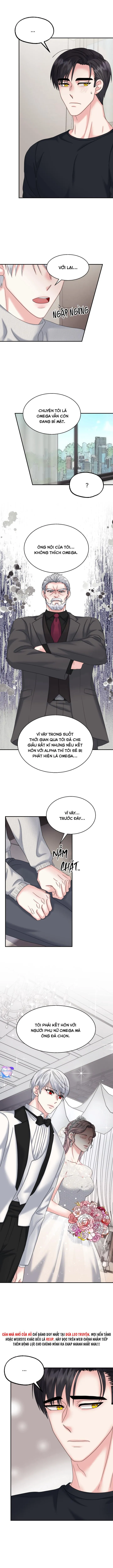 ĐÂY LÀ CHÚ THỎ MÀ BẠN (KHÔNG) ĐÃ ĐẶT HÀNG Chapter 13 Trang 8