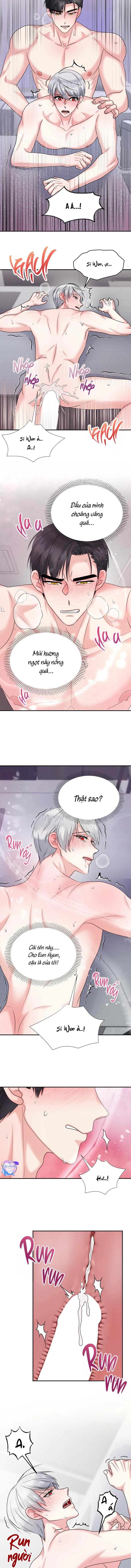 ĐÂY LÀ CHÚ THỎ MÀ BẠN (KHÔNG) ĐÃ ĐẶT HÀNG Chapter 15 Trang 3