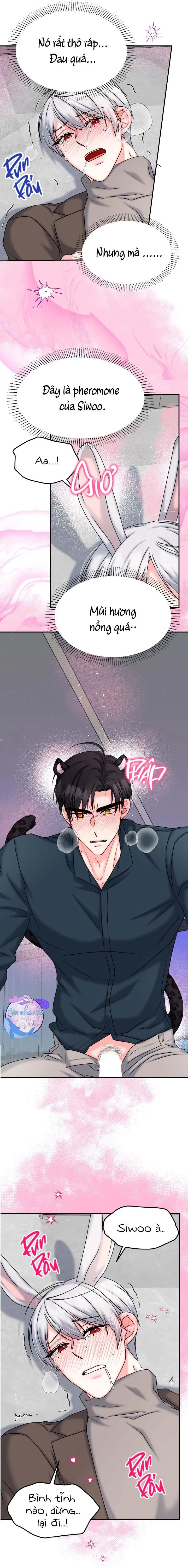 ĐÂY LÀ CHÚ THỎ MÀ BẠN (KHÔNG) ĐÃ ĐẶT HÀNG Chapter 20 Trang 8