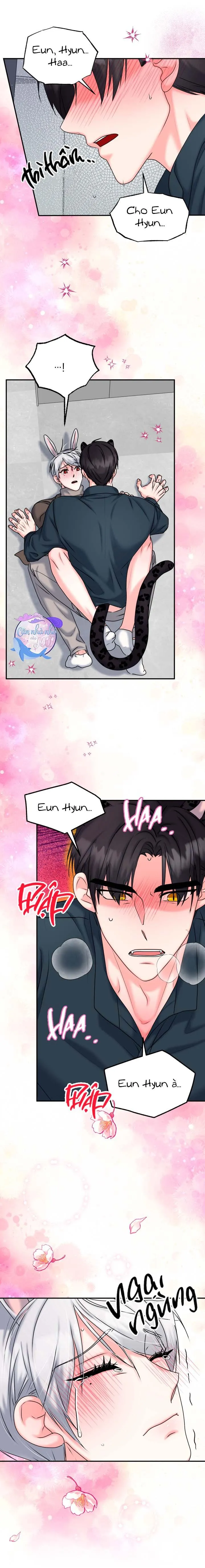 ĐÂY LÀ CHÚ THỎ MÀ BẠN (KHÔNG) ĐÃ ĐẶT HÀNG Chapter 20 Trang 9